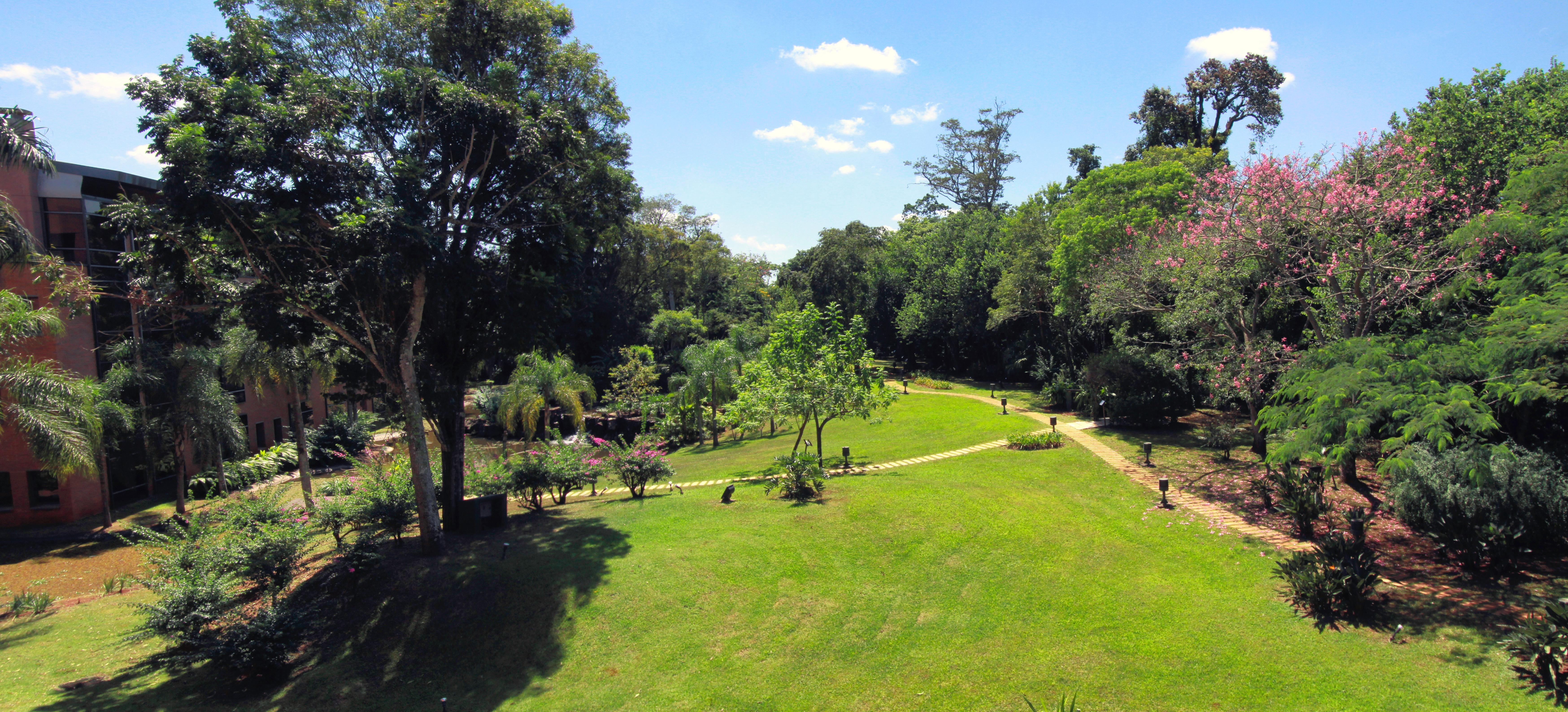 Iguazu Grand Resort Spa & Casino Puerto Iguazu Bagian luar foto